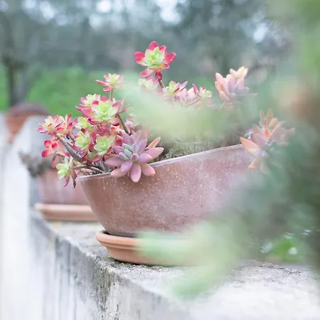 Nonna Laura Portorož