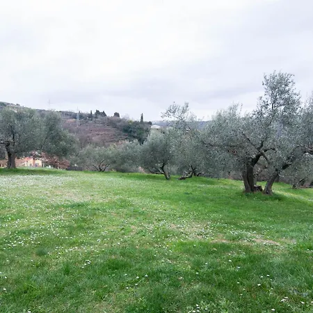 Apartament Nonna Laura *