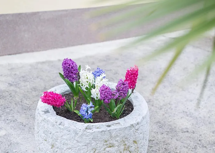 Nonna Laura Lägenhet *