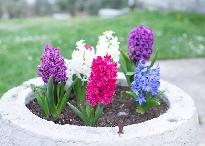 Διαμέρισμα Nonna Laura Πορτορόζ