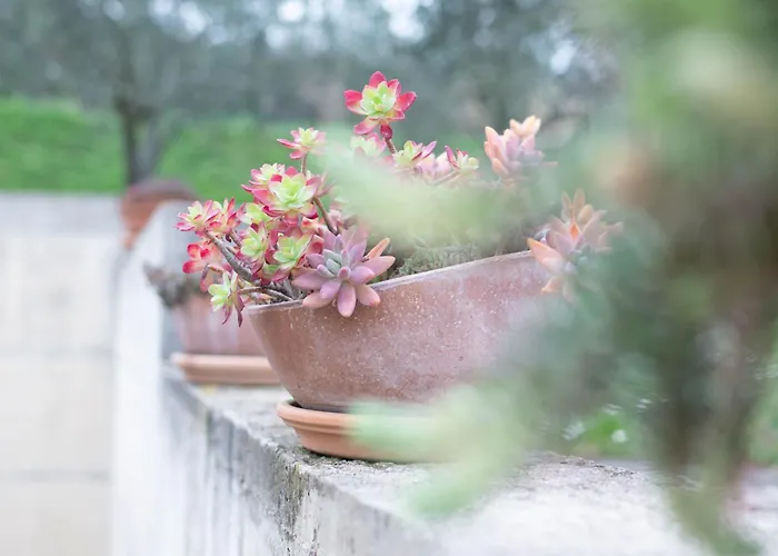 Nonna Laura Portorož