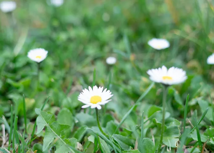 Διαμέρισμα Nonna Laura *